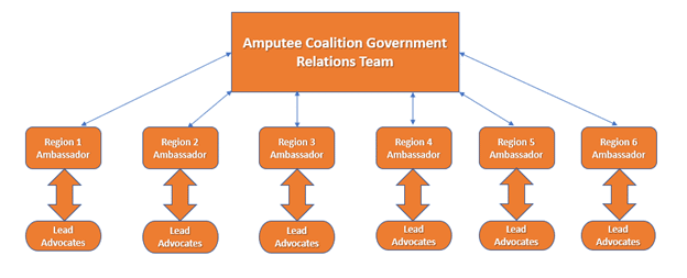 Amputee Coalition Regional Ambassador Program Organizational Chart