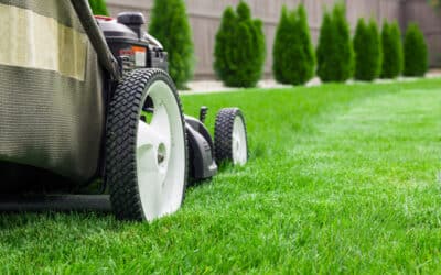 Know Before You Mow: A Guide To Keeping Your Children Safe From Preventable Amputations